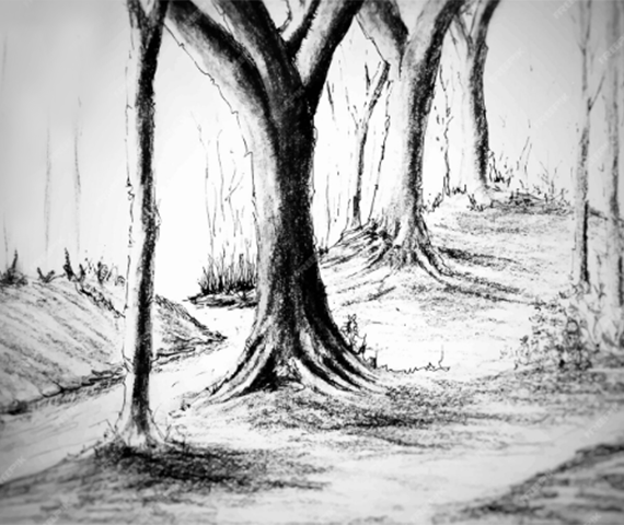 الرسم بالفحم